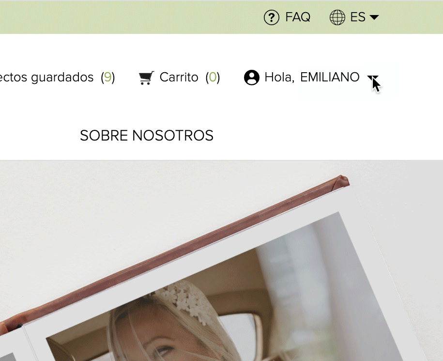 Download-Profilo-Colore_ESP.gif